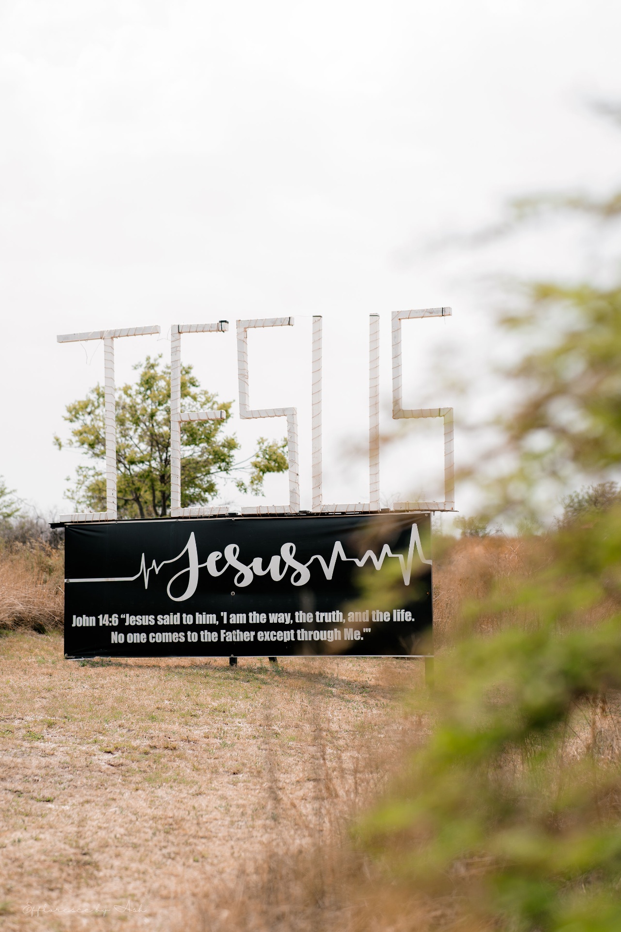 Jesus sign at Solid Ground