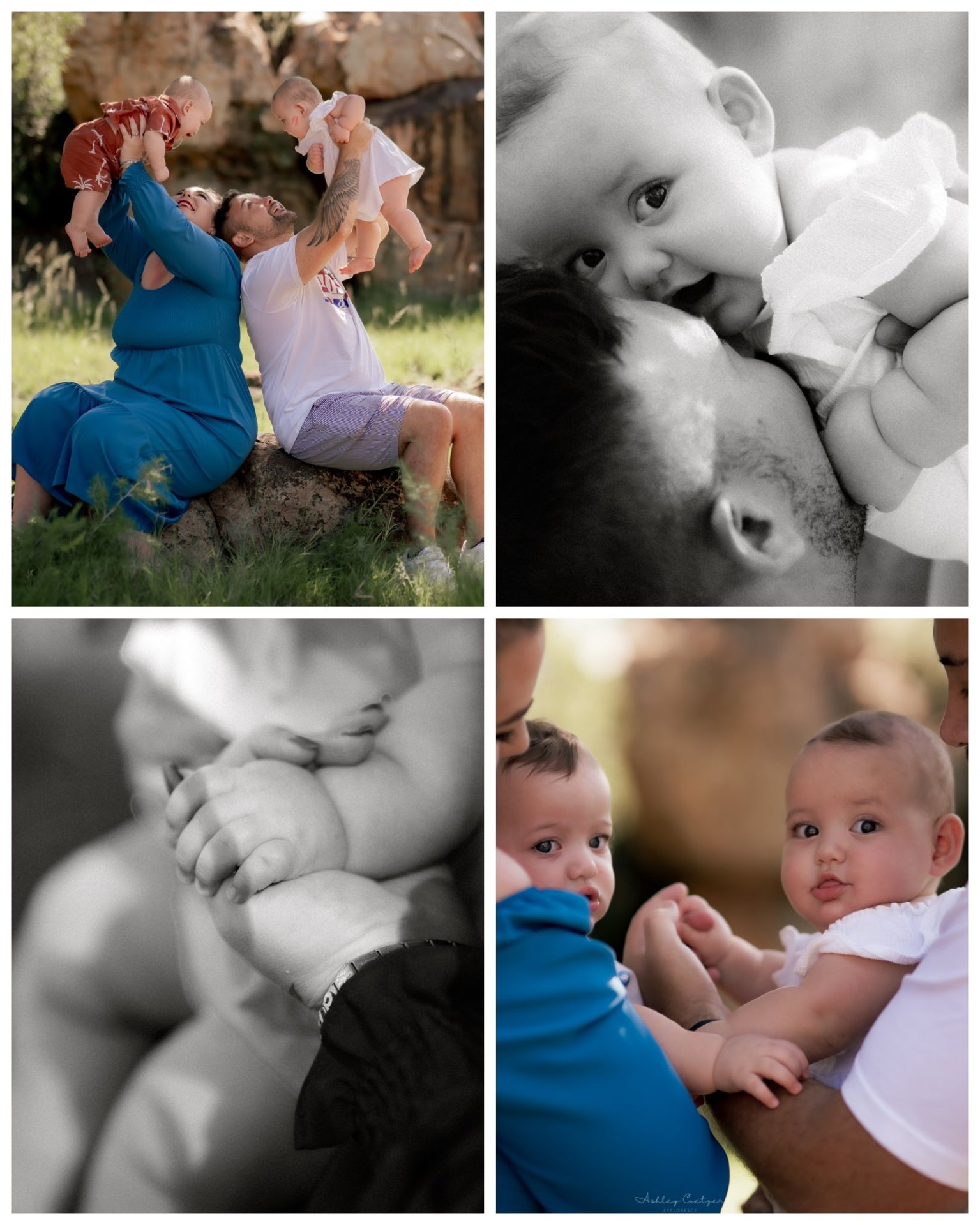 Family newborn collage with twin babies on the farm